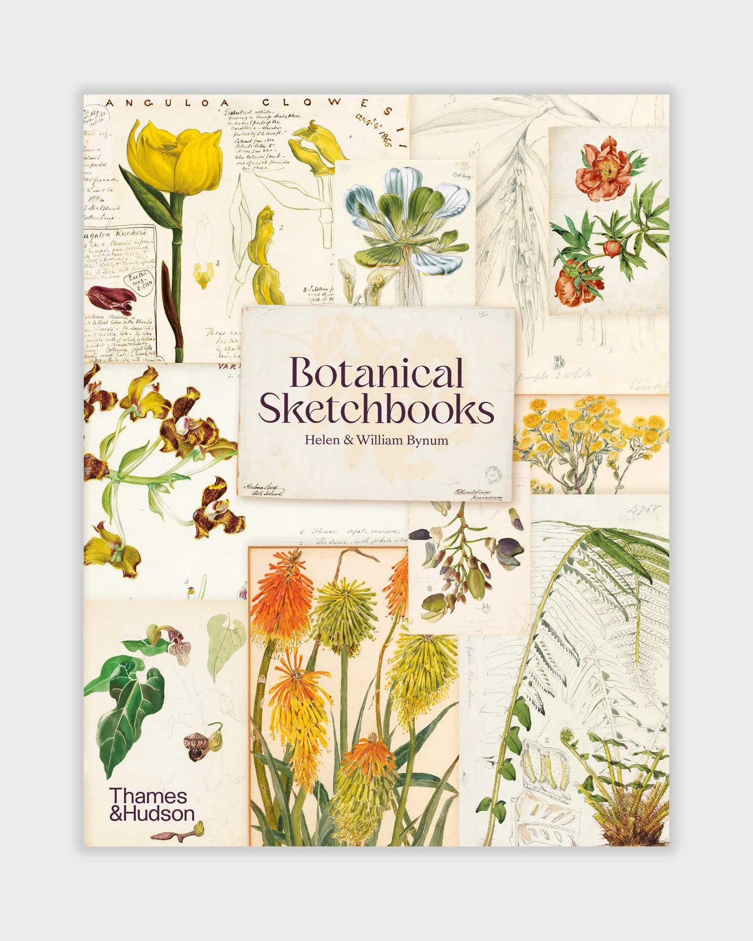 Botanical Sketchbooks