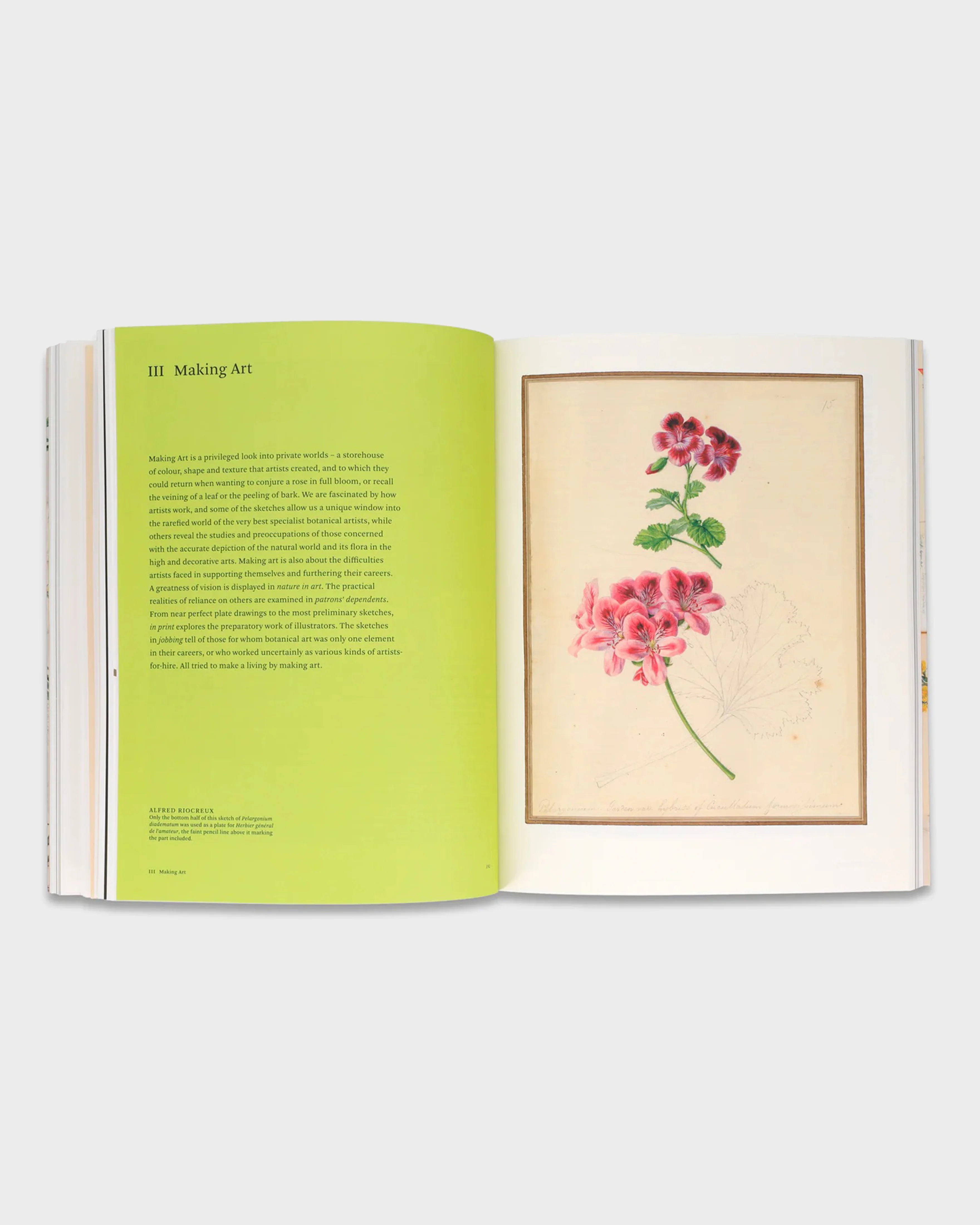 Botanical Sketchbooks - Image 3