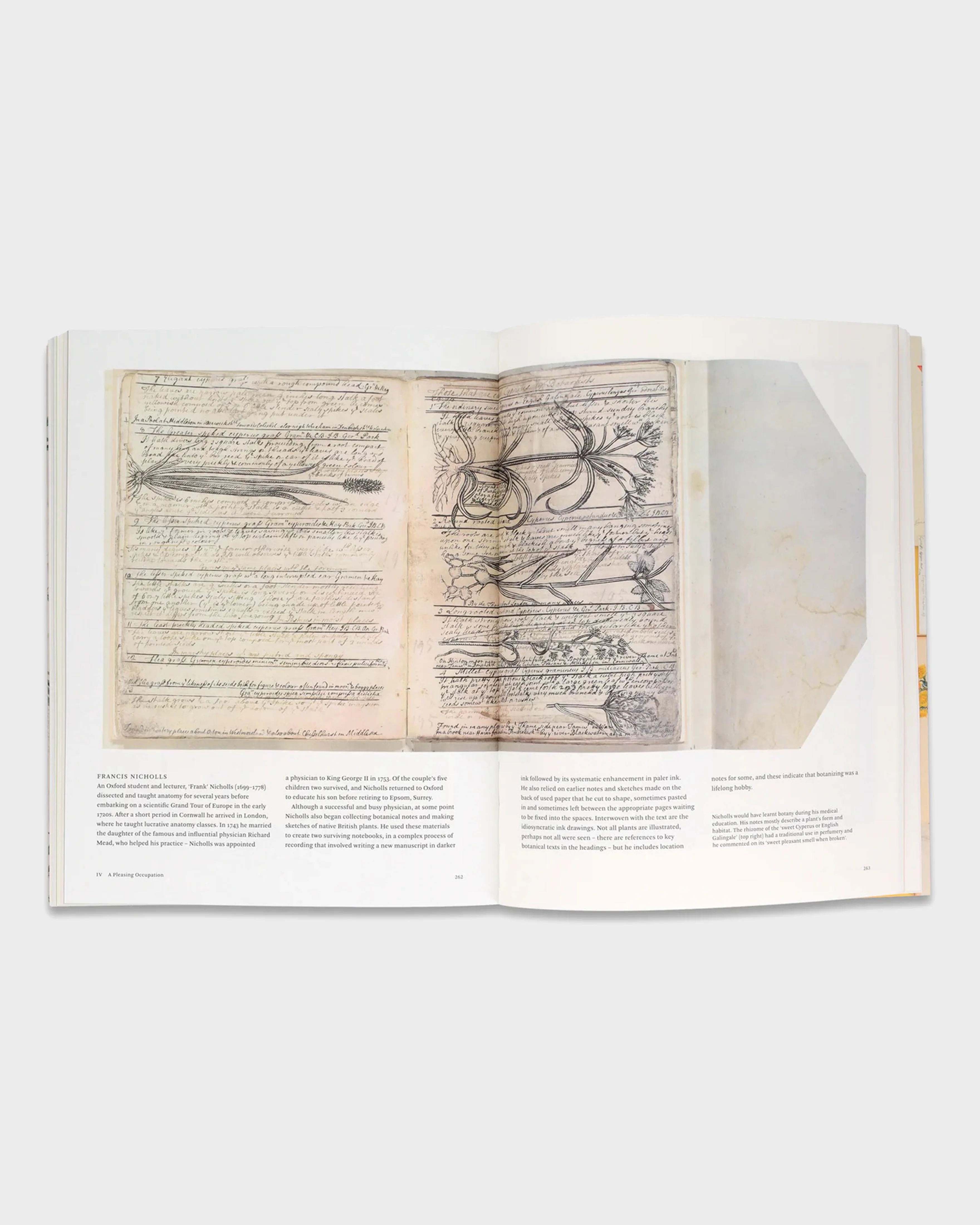 Botanical Sketchbooks - Image 4