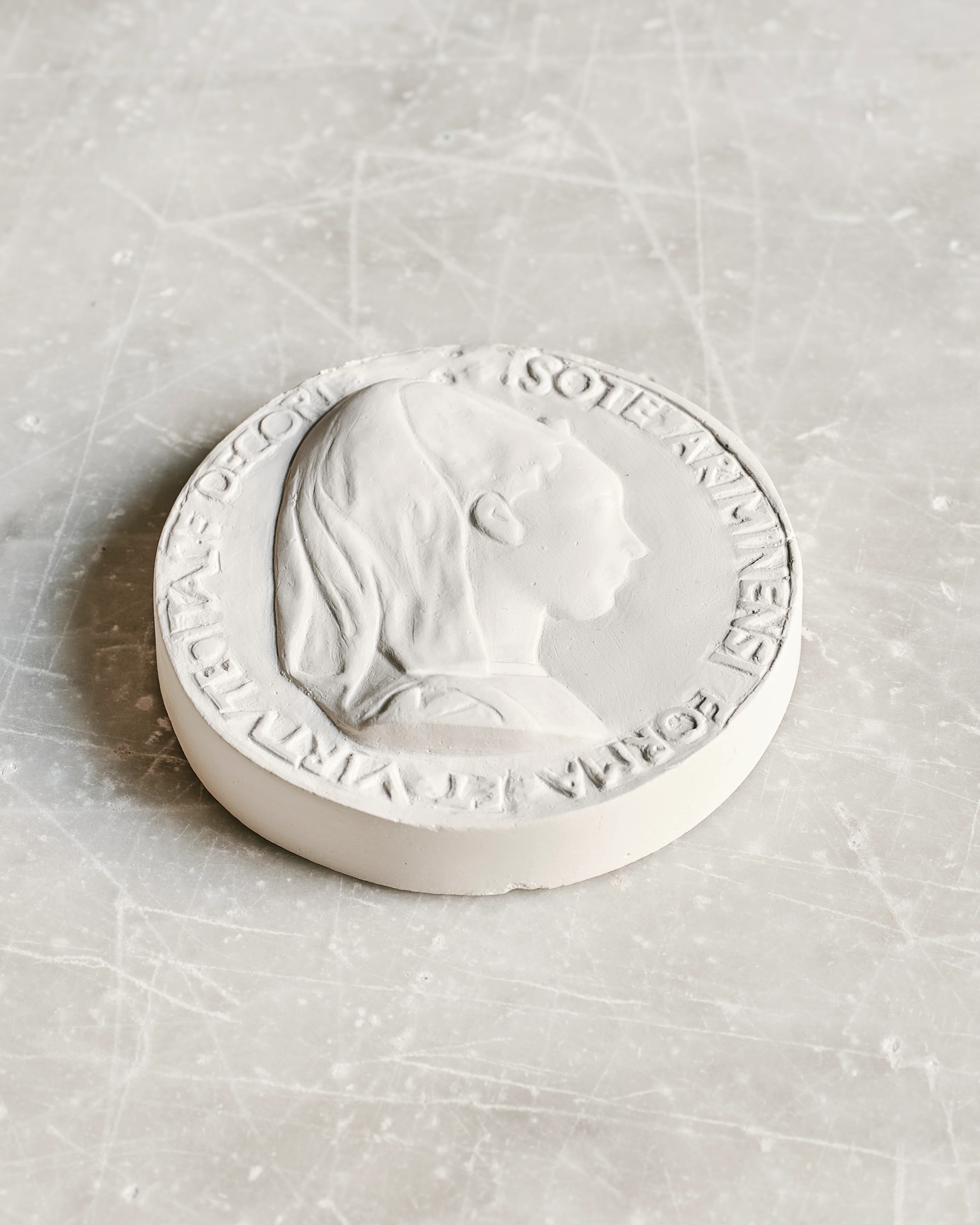 Classic Medallion Relief, Female In Fine Plaster - Image 2