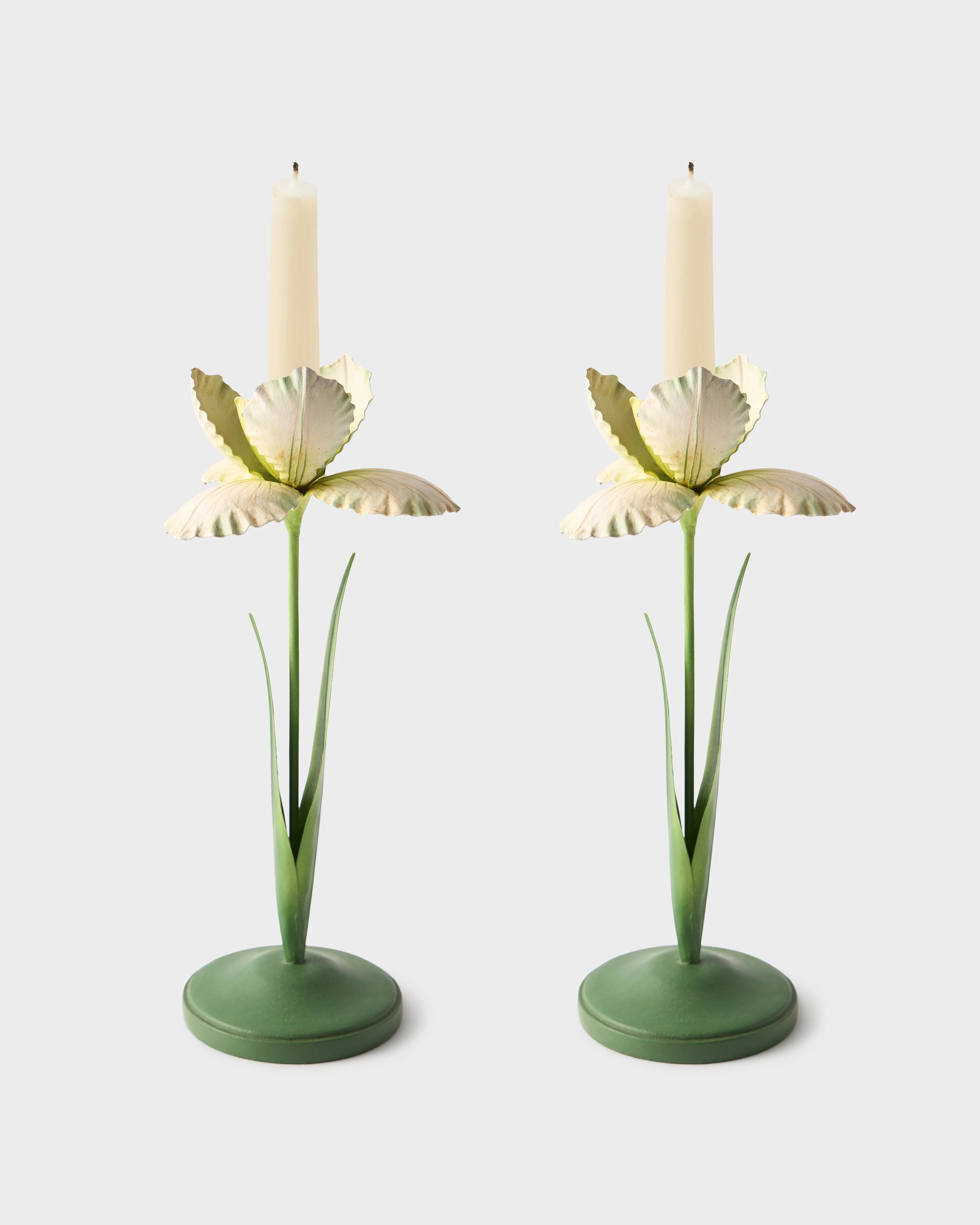 Daffodil Painted Metal Candle Holder, White (Set of 2)