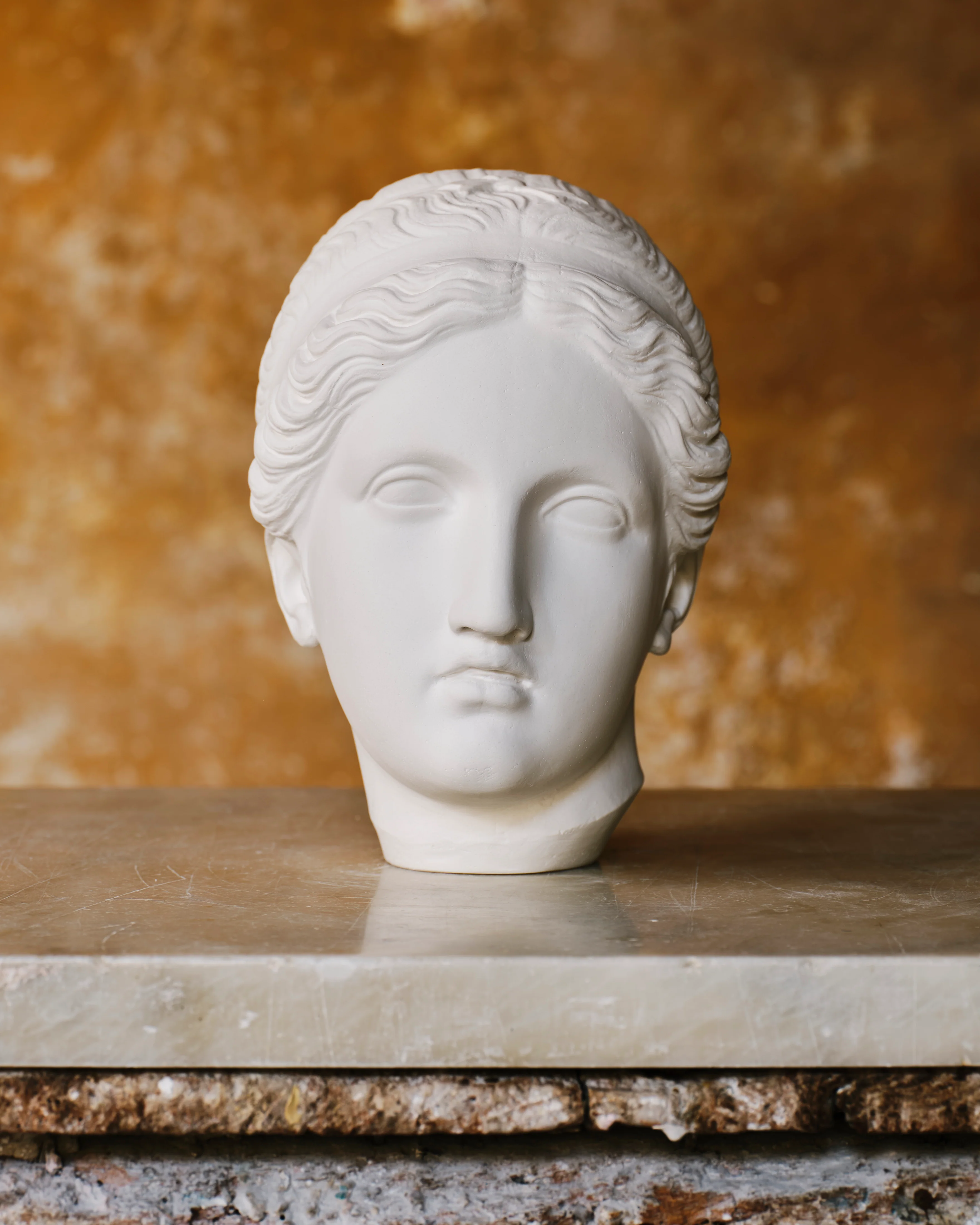 Fine Plaster Head Sculpture of Psyche