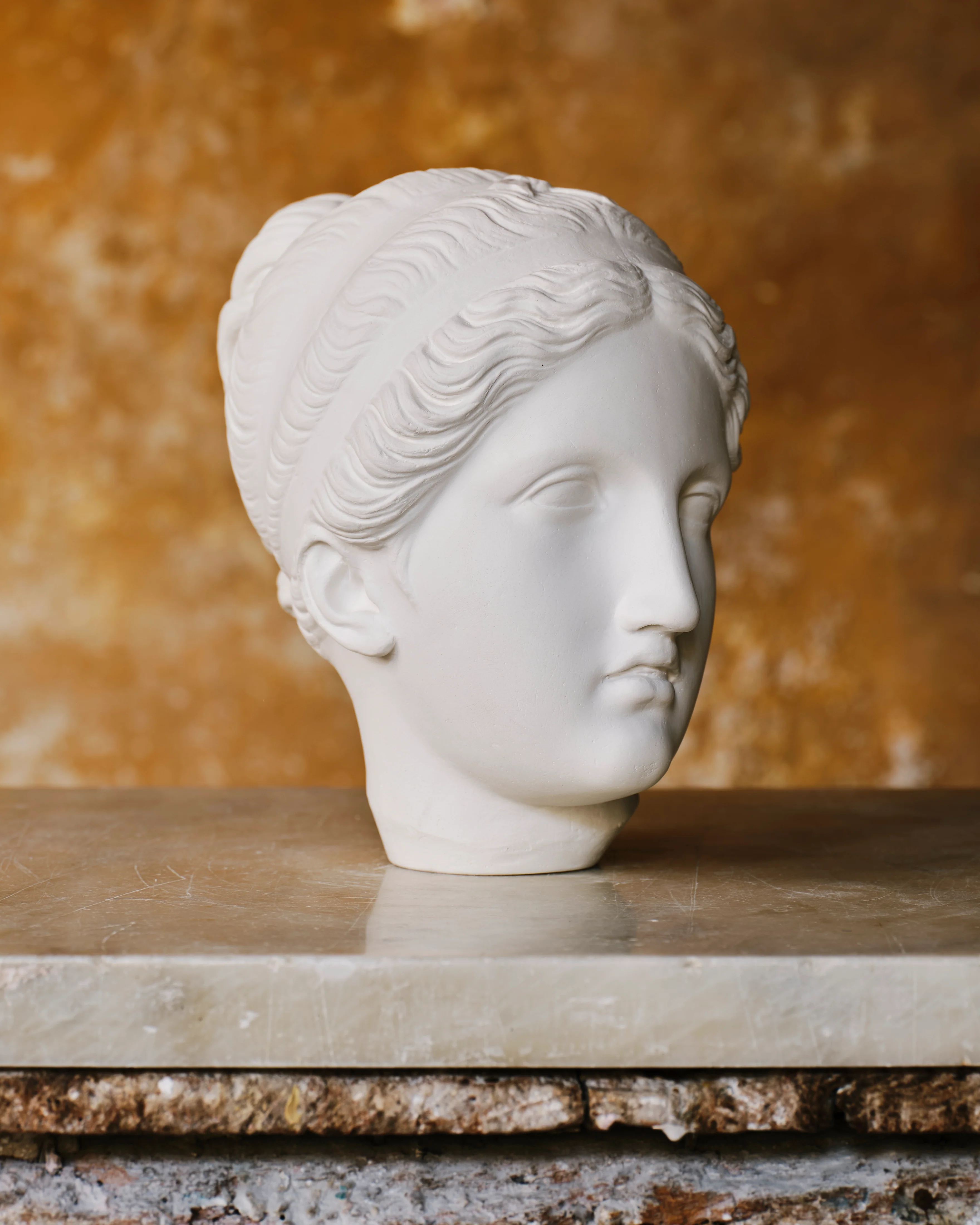 Fine Plaster Head Sculpture of Psyche - Image 2