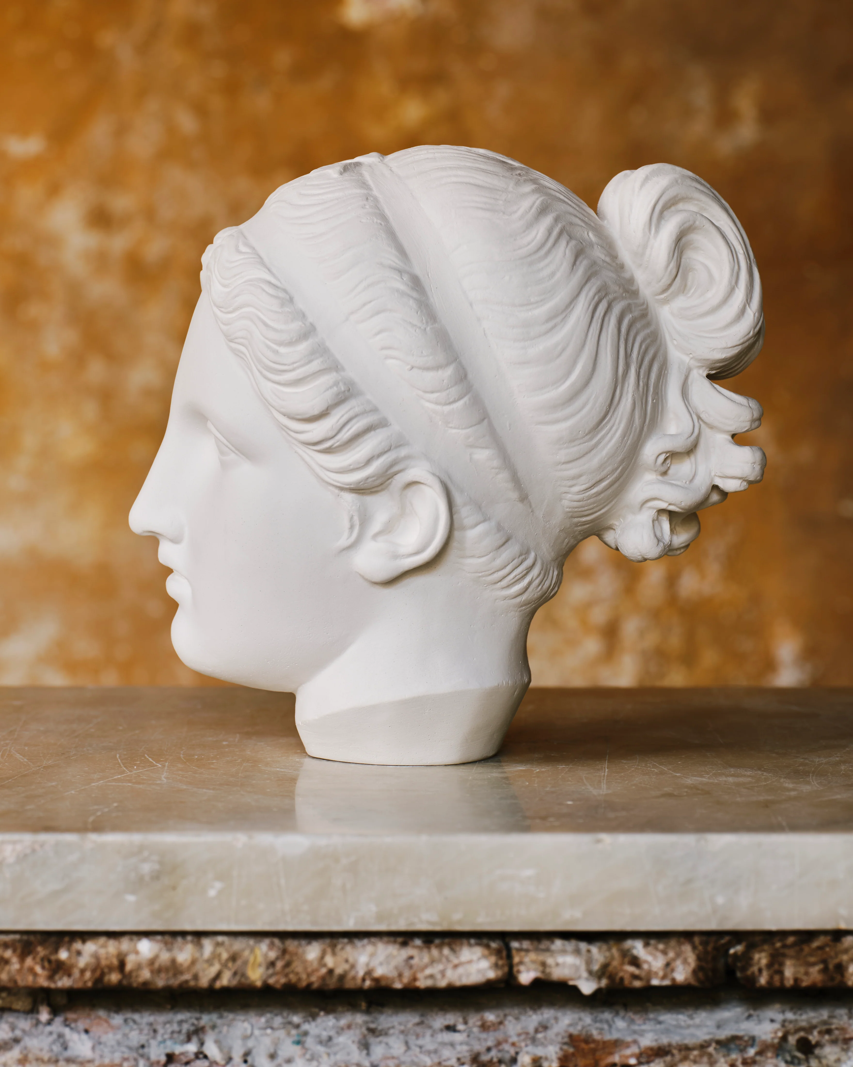Fine Plaster Head Sculpture of Psyche - Image 3