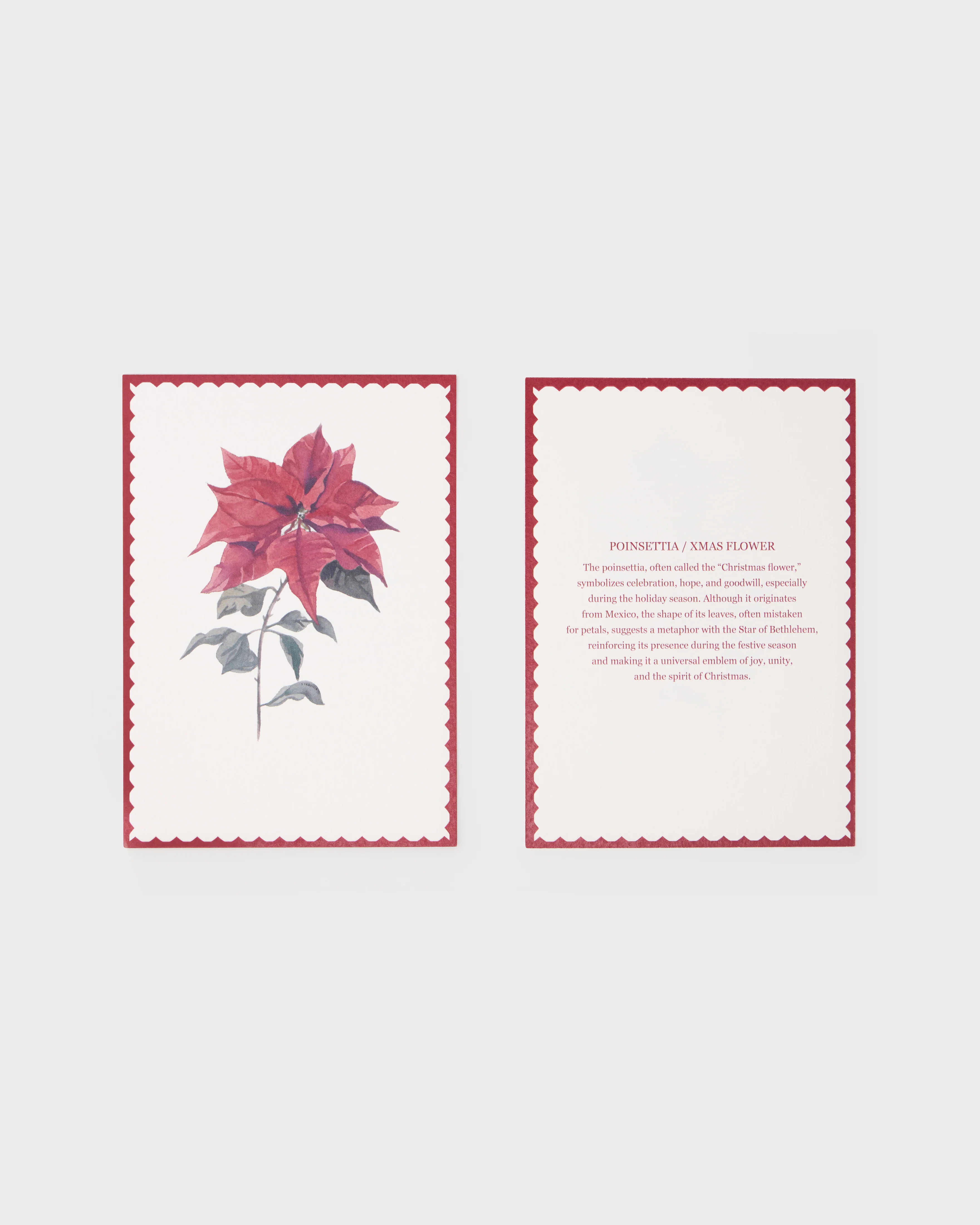 Floral Watercolour Place Cards in Gift Box (Set of 12) - Image 5