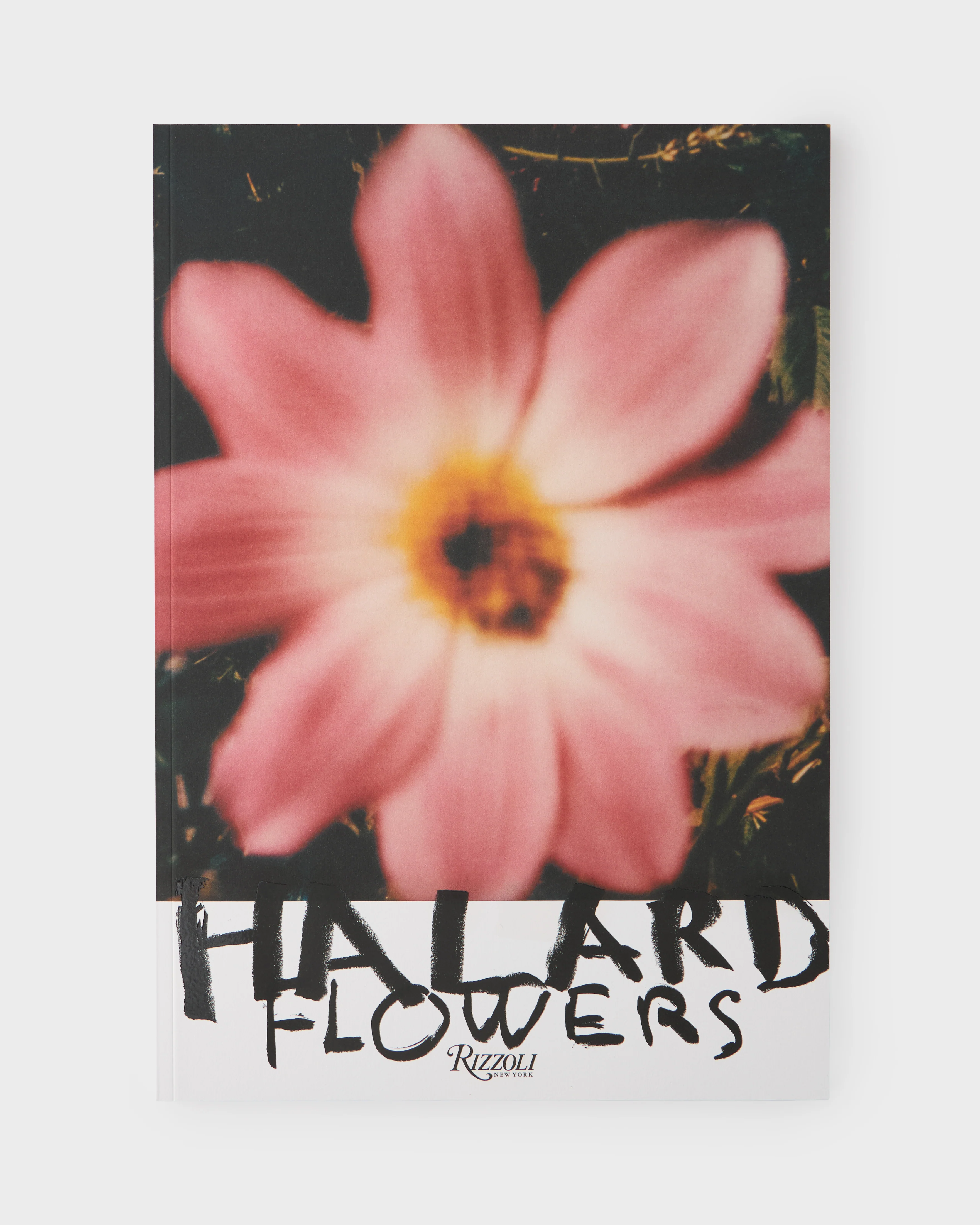 Francois Halard: Art and Flowers - Image 5