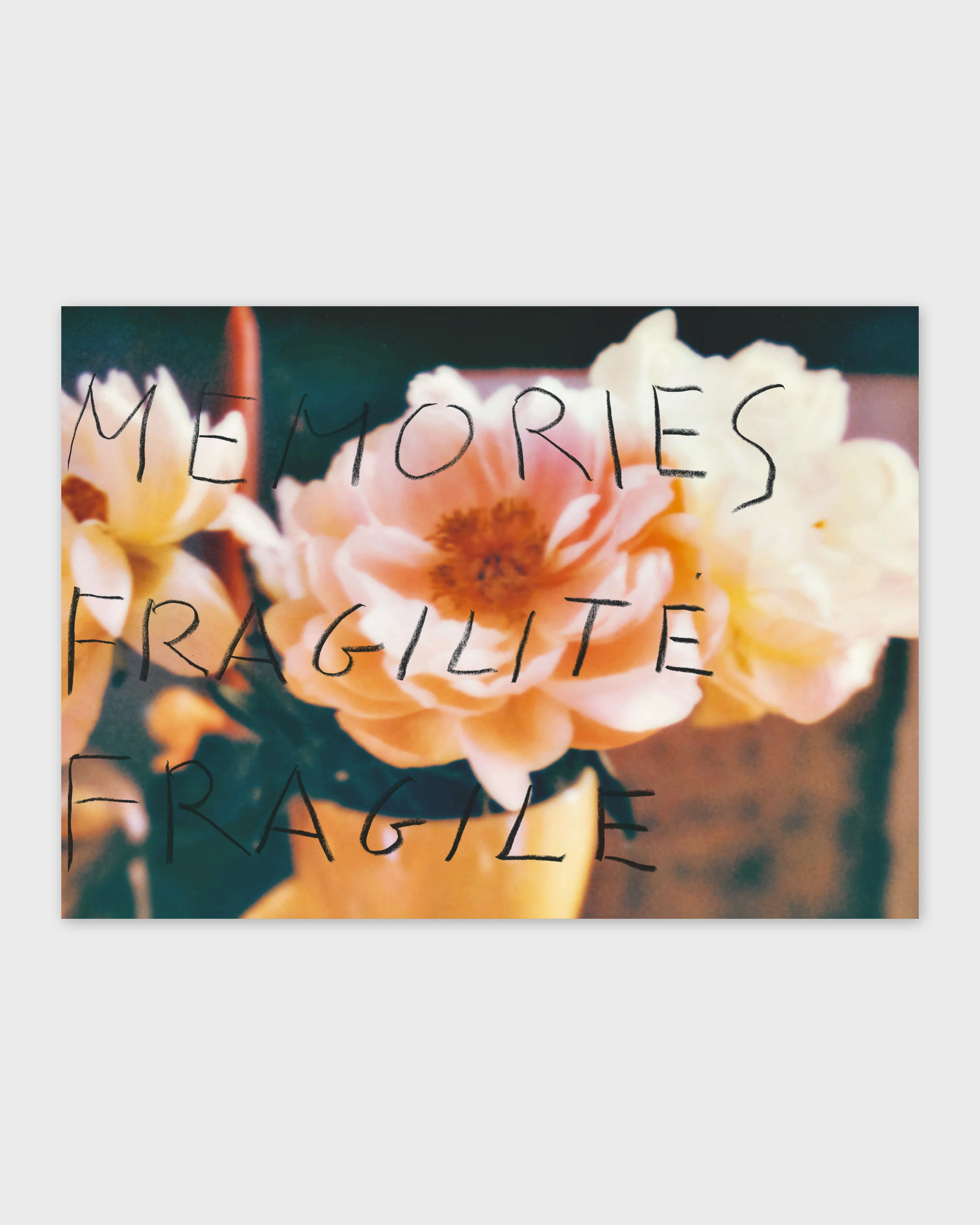 Francois Halard: Art and Flowers - Image 6
