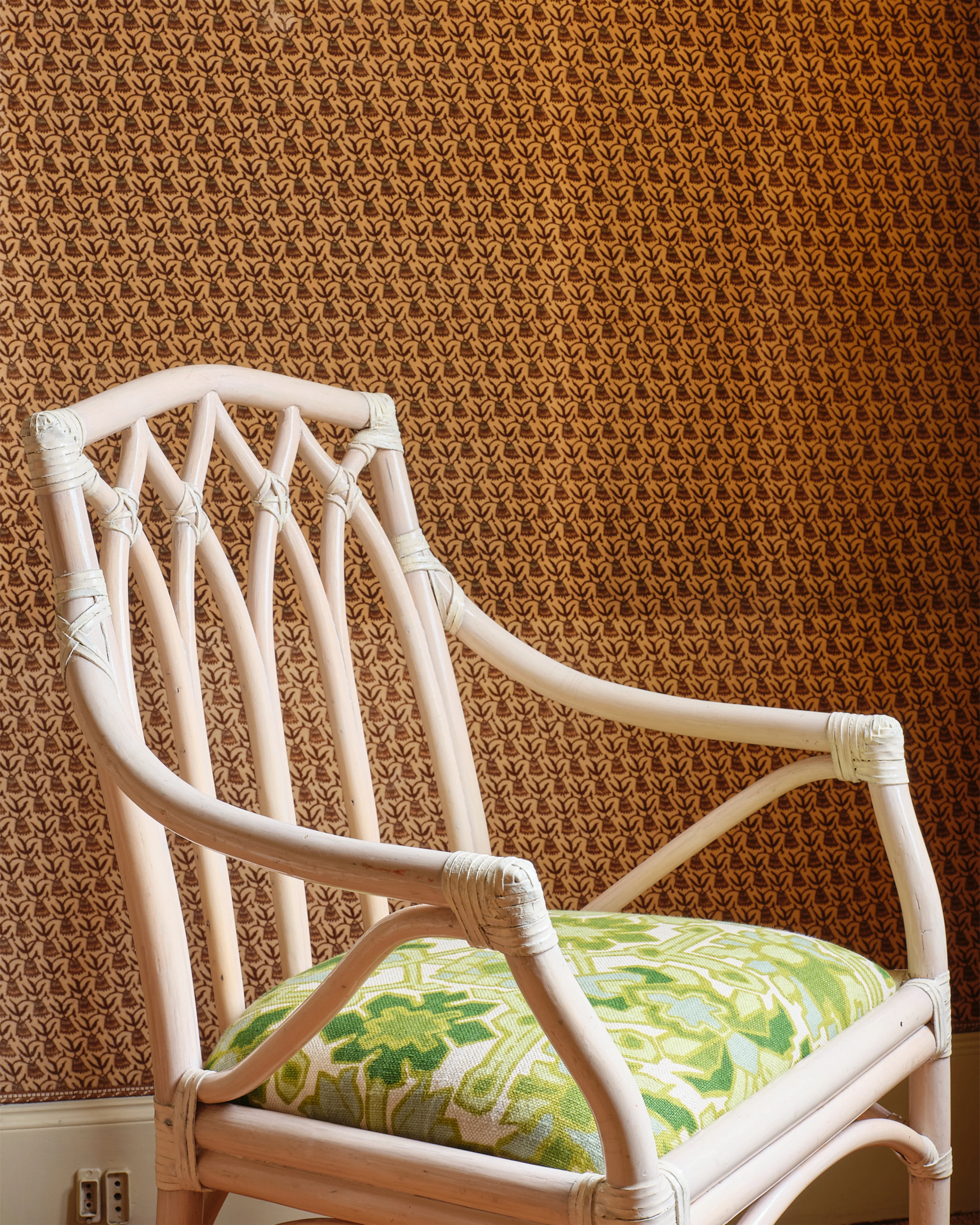 Gothic Style Cane Chairs (Set of 2) - Image 4