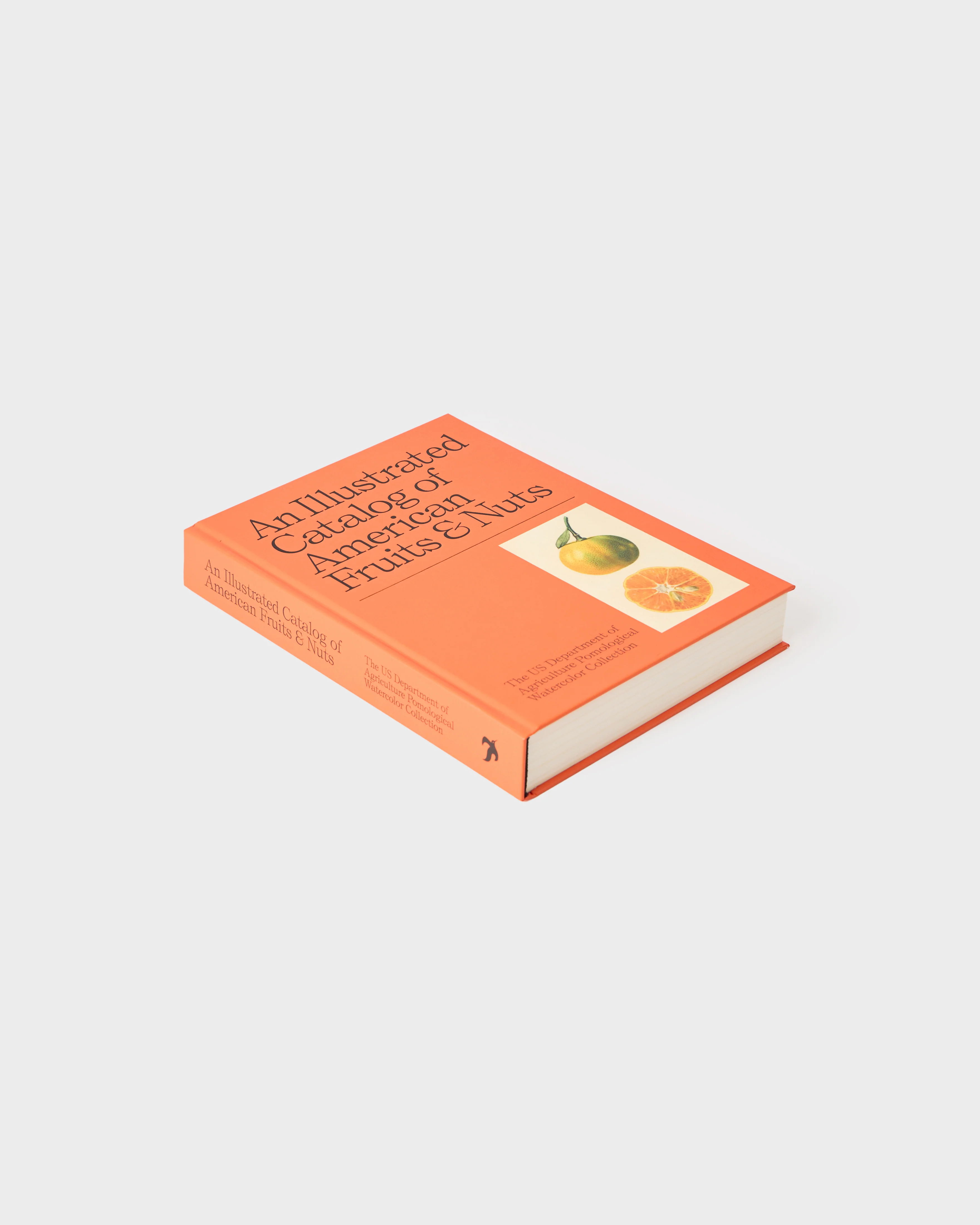 Illustrated Catalog of American Fruit and Nuts - Image 5