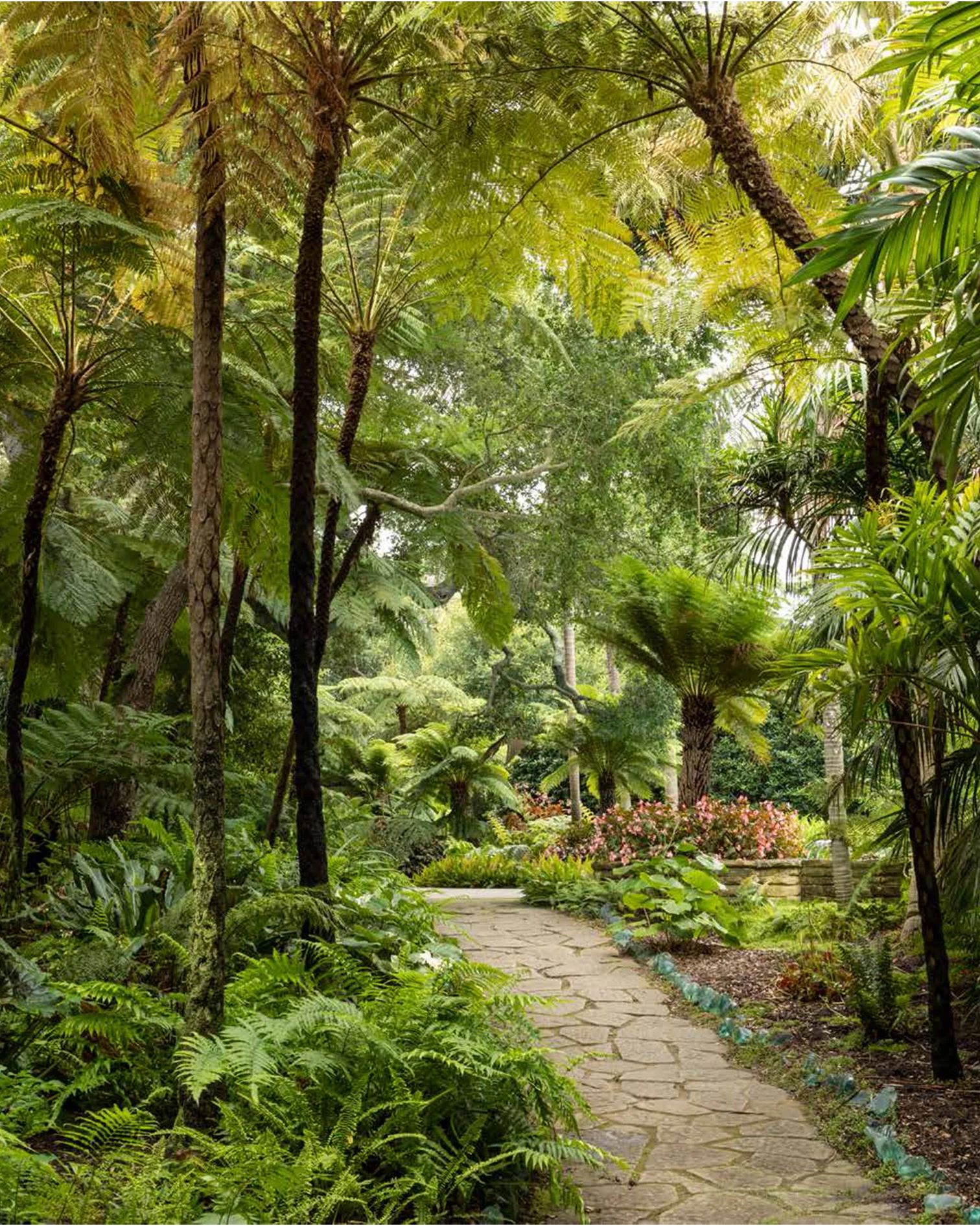 Lotusland - Image 5