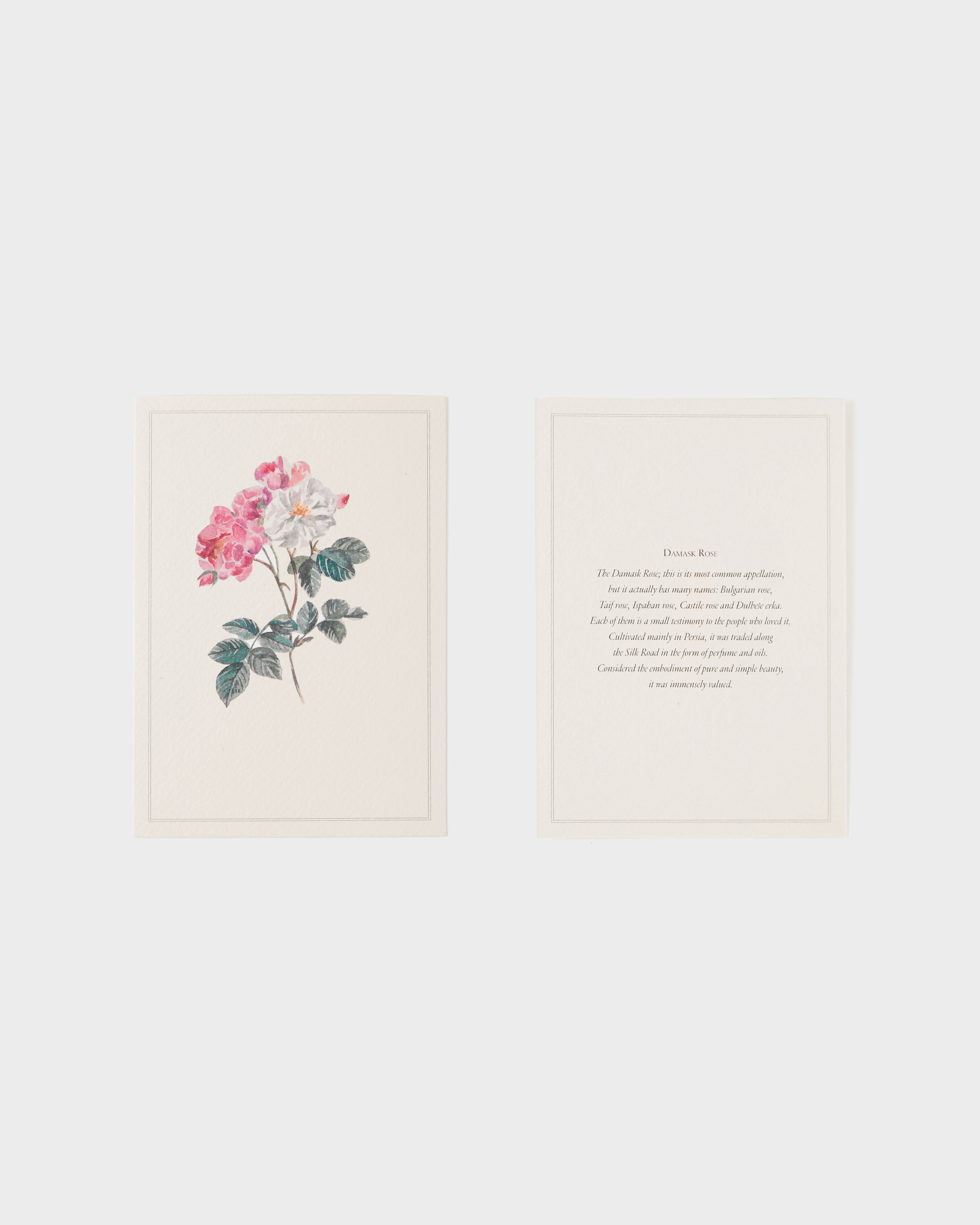 Floral Watercolor Place Cards (Set of 12) - Image 3