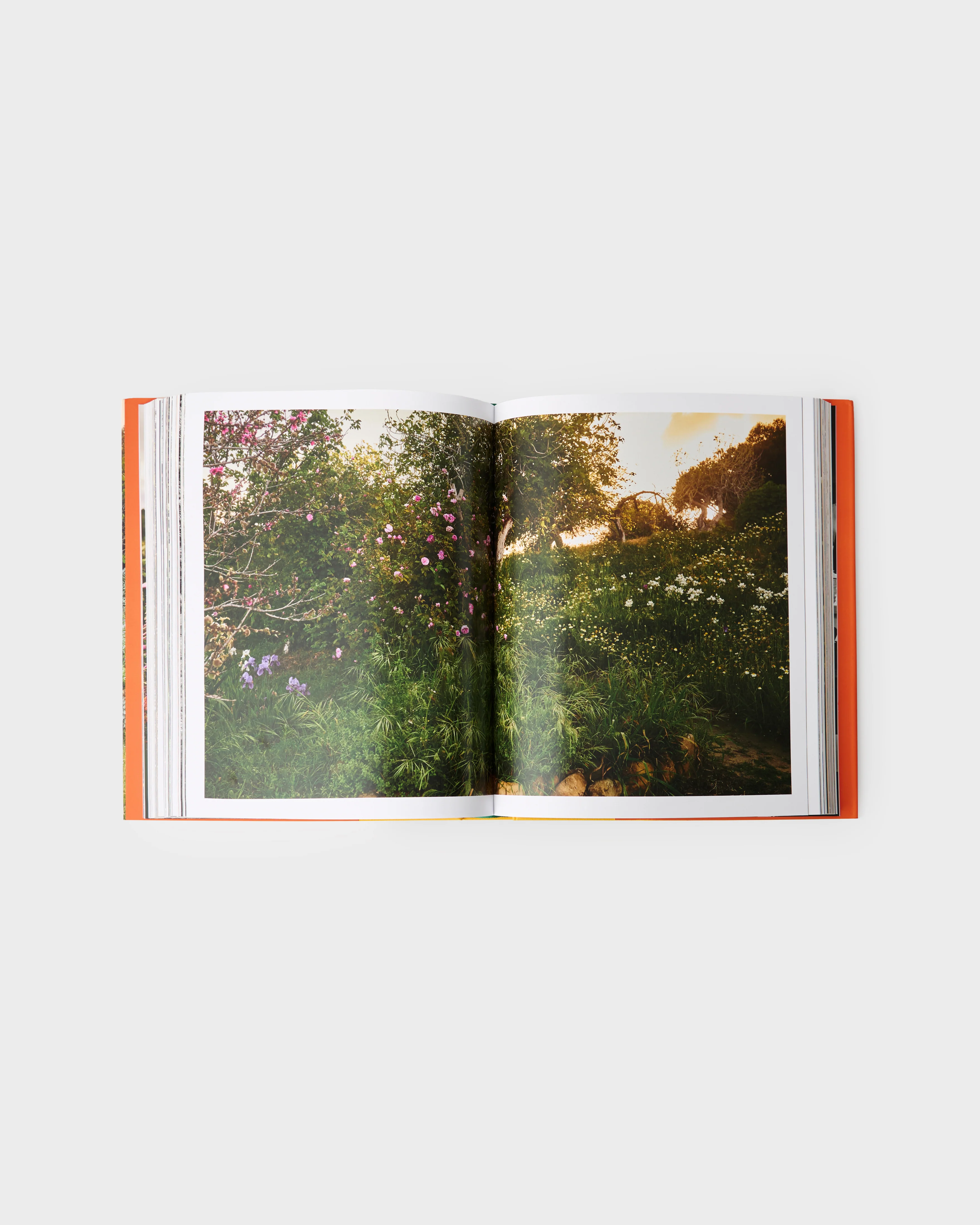 Pastoral Gardens - Image 3