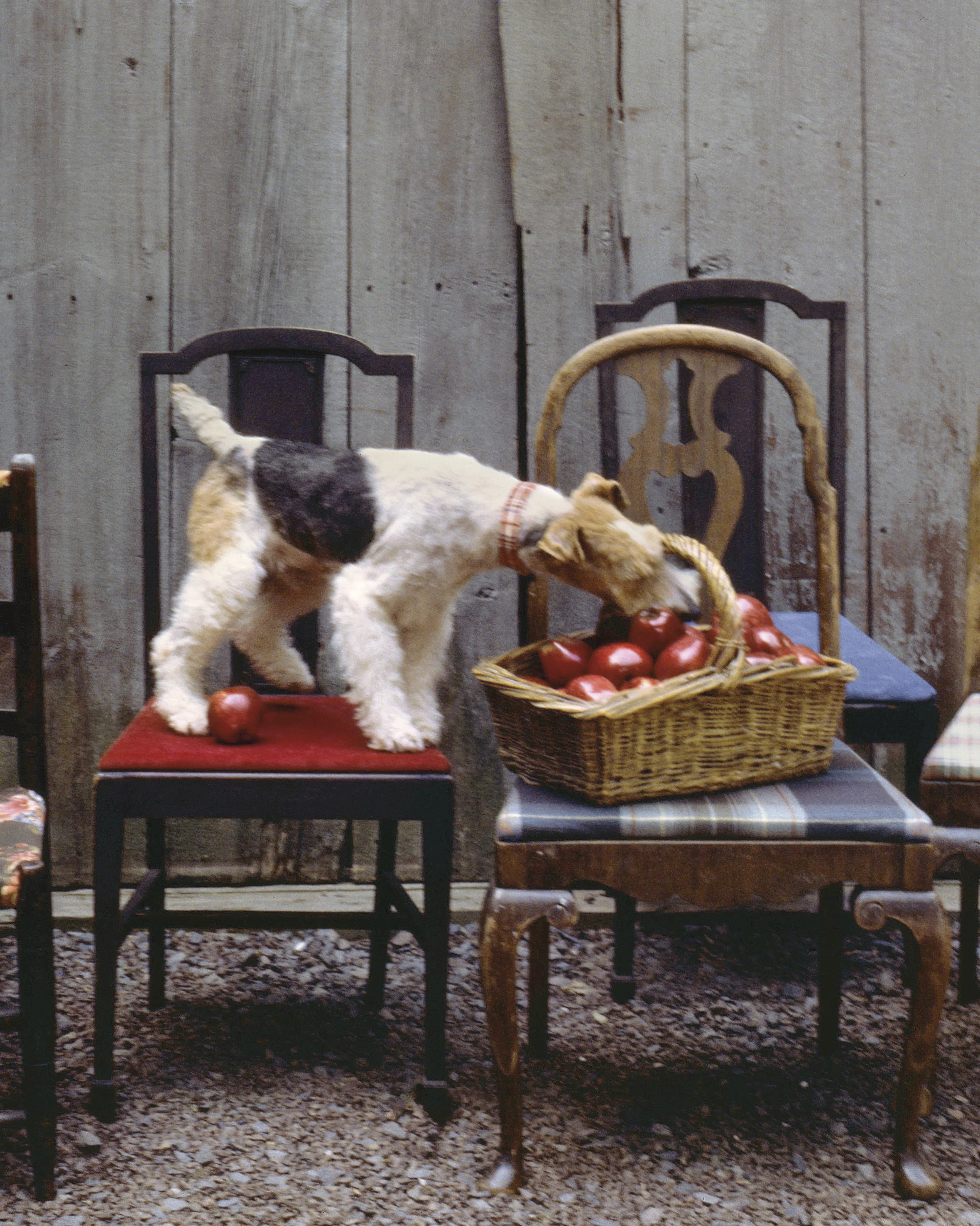 A Way of Living by Ralph Lauren - Image 3