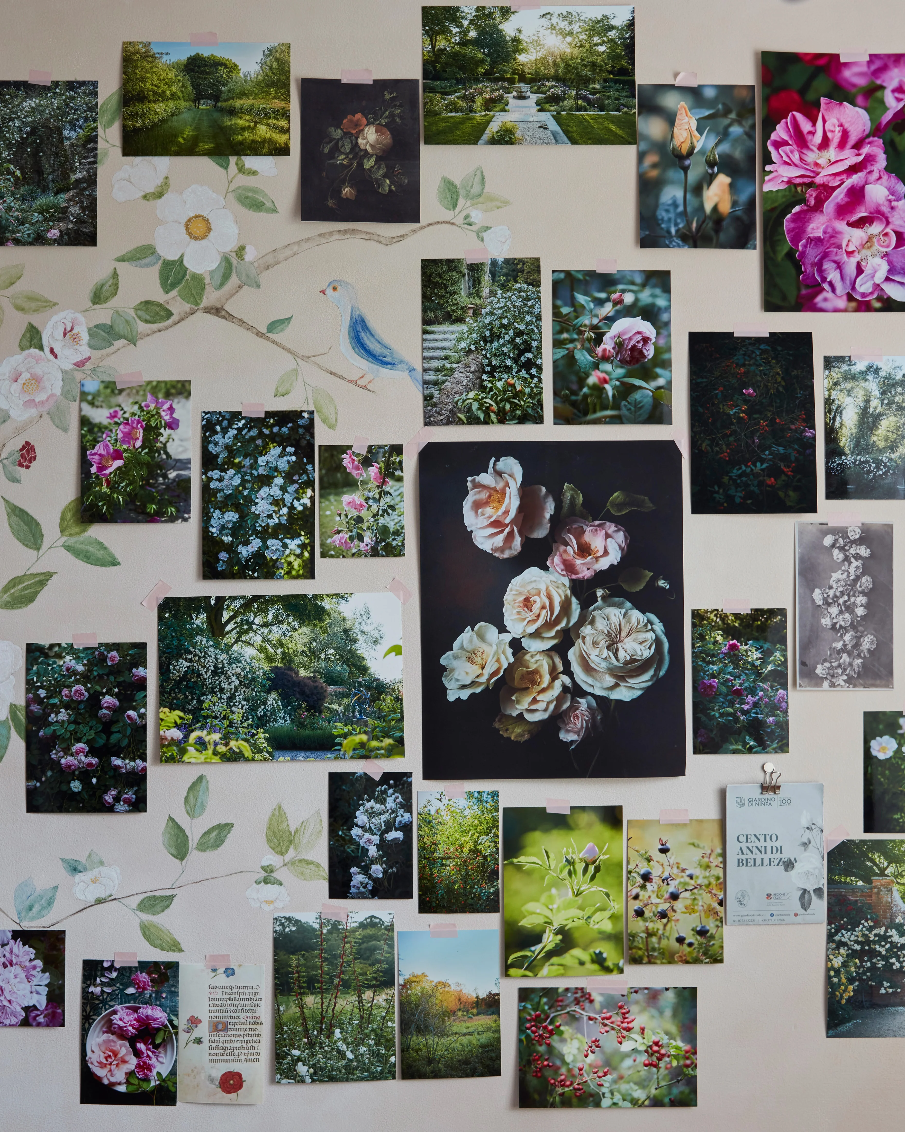 Roses in the Garden - Image 4