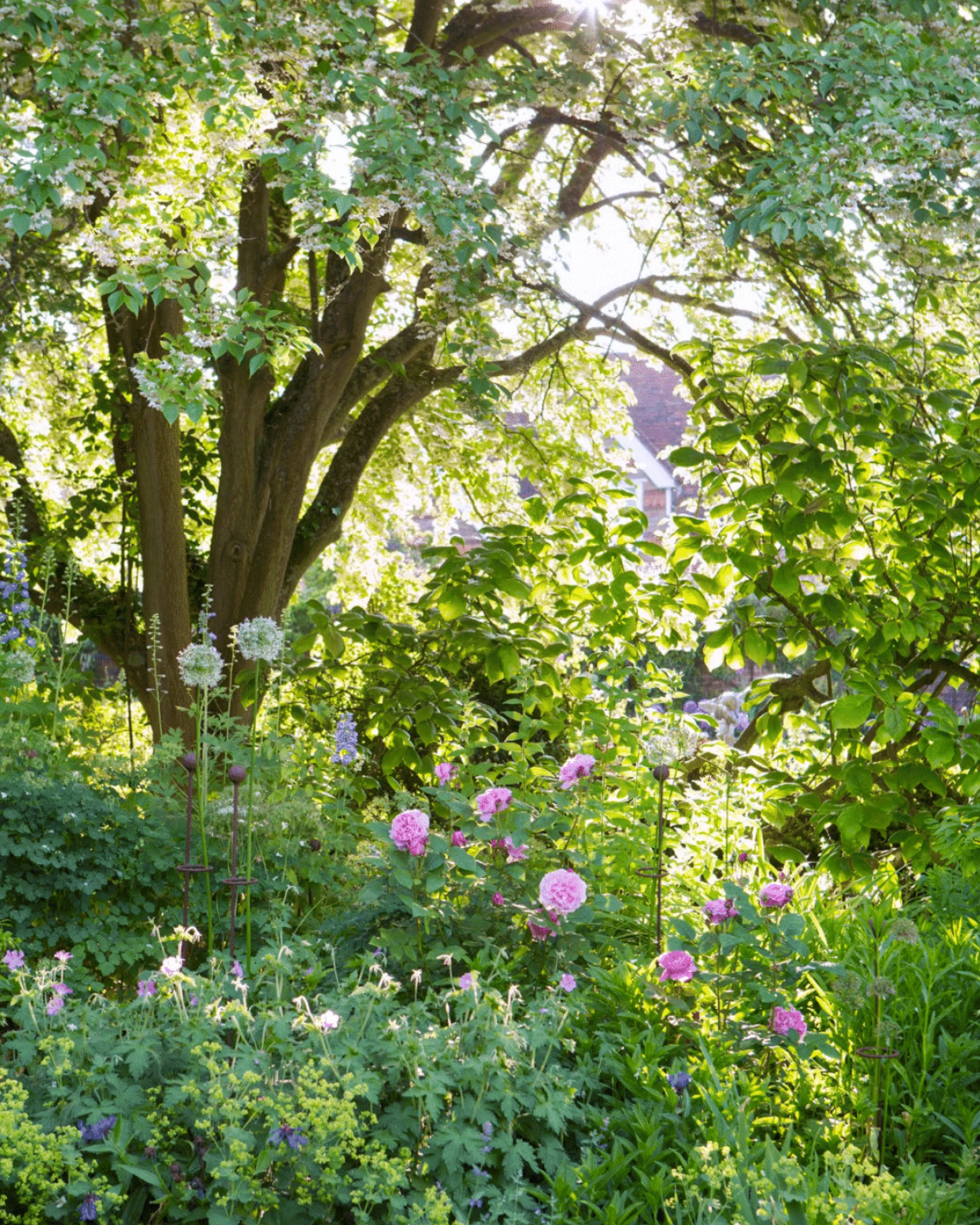 The New Romantic Garden - Image 2