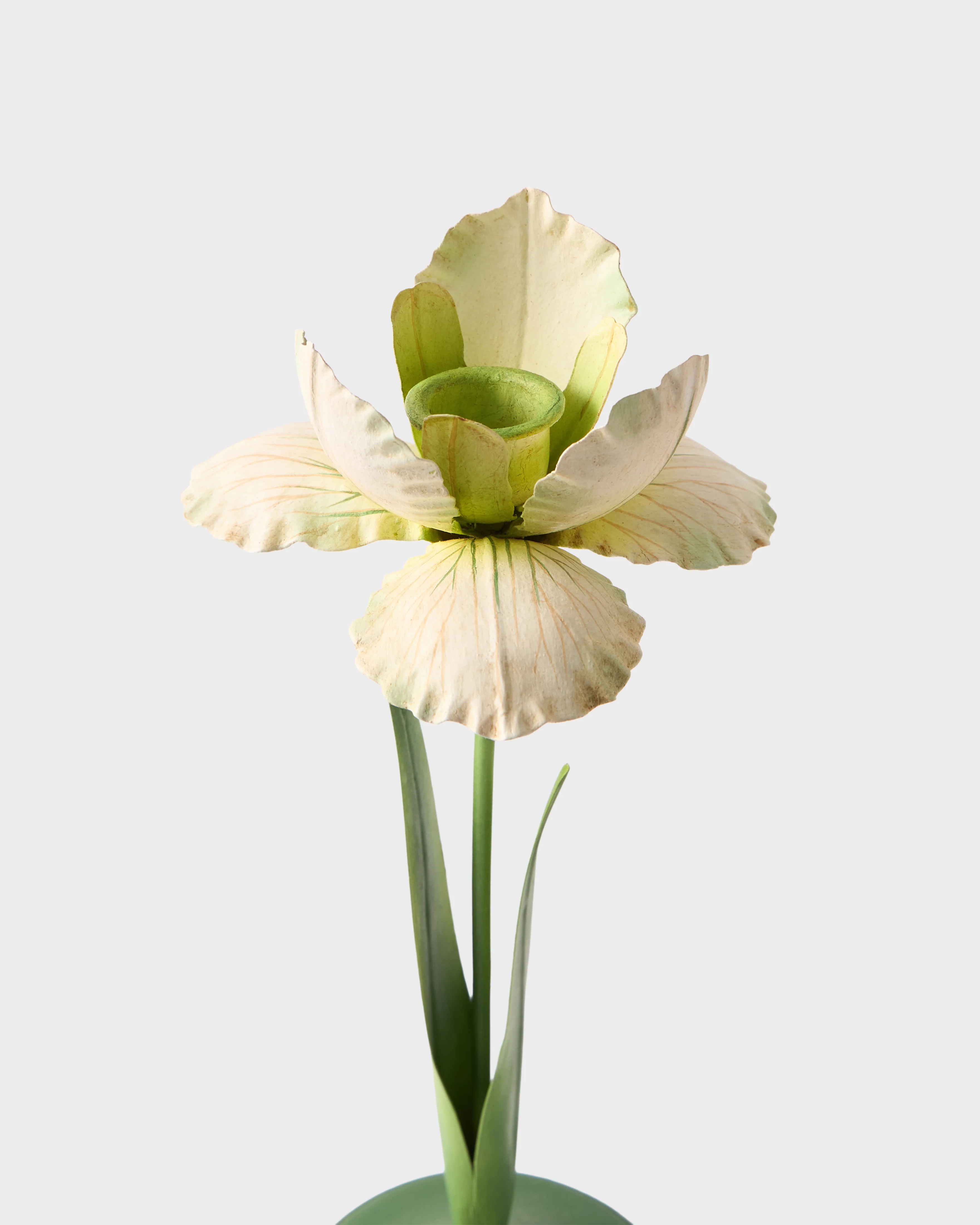 Daffodil Painted Metal Candle Holder, White - Image 2